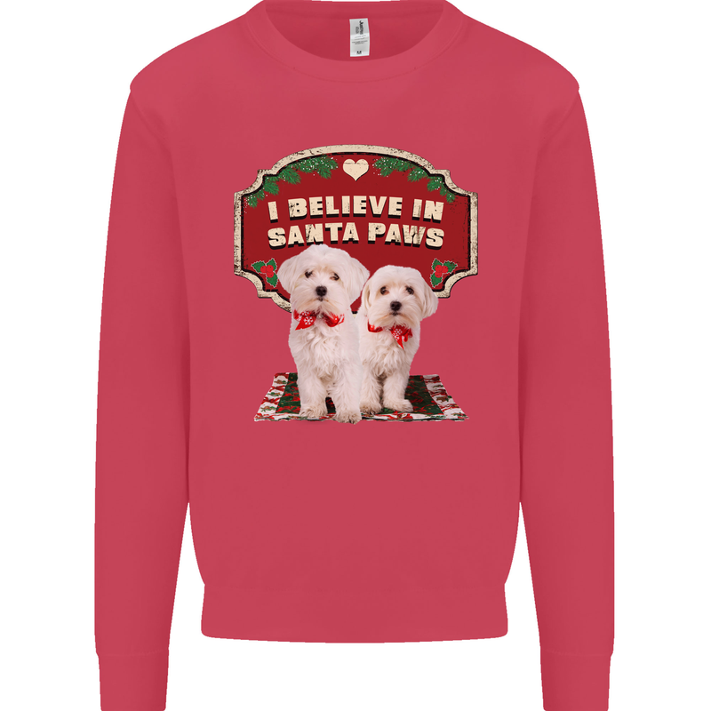 Christmas Maltese Funny Santa Paws Xmas Kids Sweatshirt Jumper Heliconia