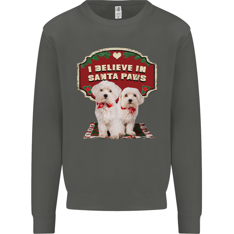 Christmas Maltese Funny Santa Paws Xmas Kids Sweatshirt Jumper Storm Grey