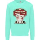 Christmas Maltese Funny Santa Paws Xmas Mens Sweatshirt Jumper Peppermint
