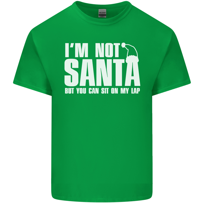 Christmas You Can Sit on My Lap Funny Mens Cotton T-Shirt Tee Top Irish Green