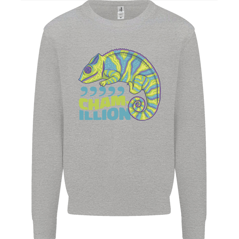 Comma Chameleon Funny Lizard Kids Sweatshirt Jumper Sports Grey