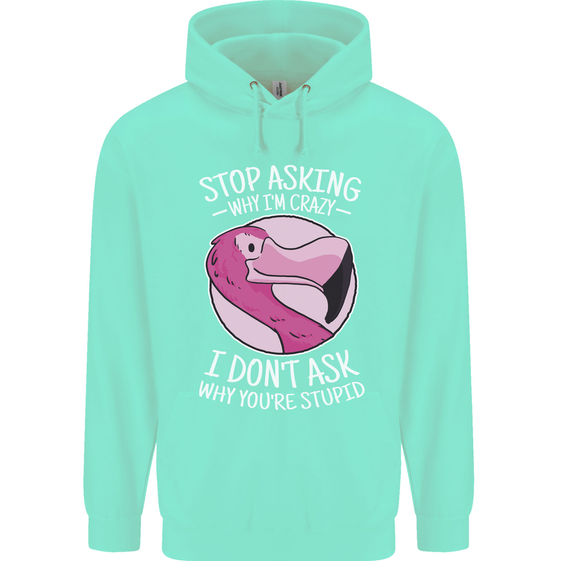 Crazy Stupid Funny Sarcastic Slogan Sarcasm Mens 80% Cotton Hoodie Peppermint