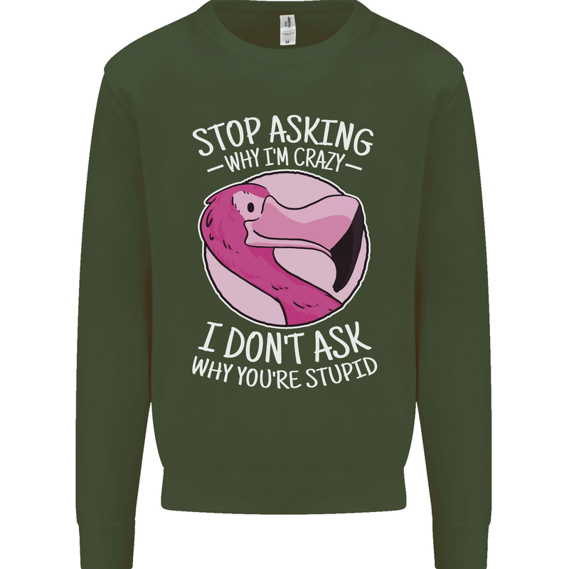 Crazy Stupid Funny Sarcastic Slogan Sarcasm Mens Sweatshirt Jumper Forest Green