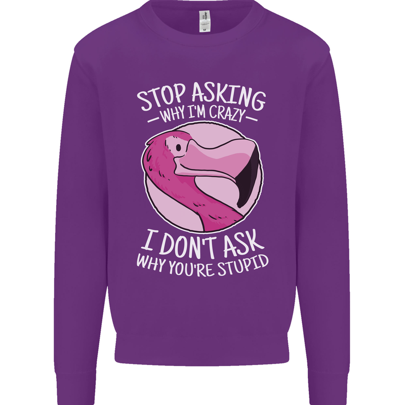 Crazy Stupid Funny Sarcastic Slogan Sarcasm Mens Sweatshirt Jumper Purple