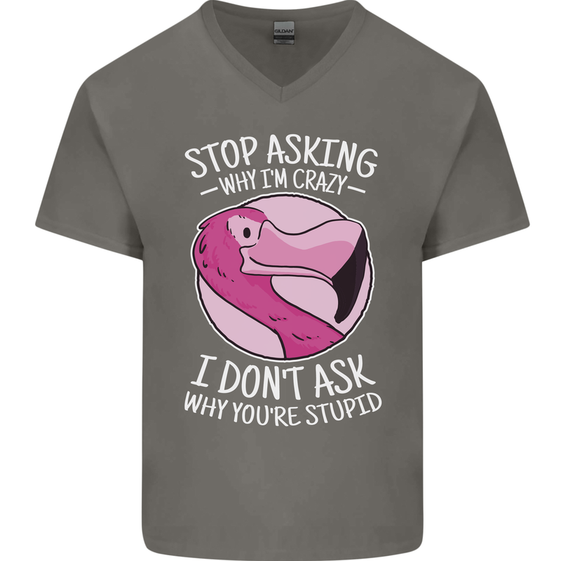 Crazy Stupid Funny Sarcastic Slogan Sarcasm Mens V-Neck Cotton T-Shirt Charcoal