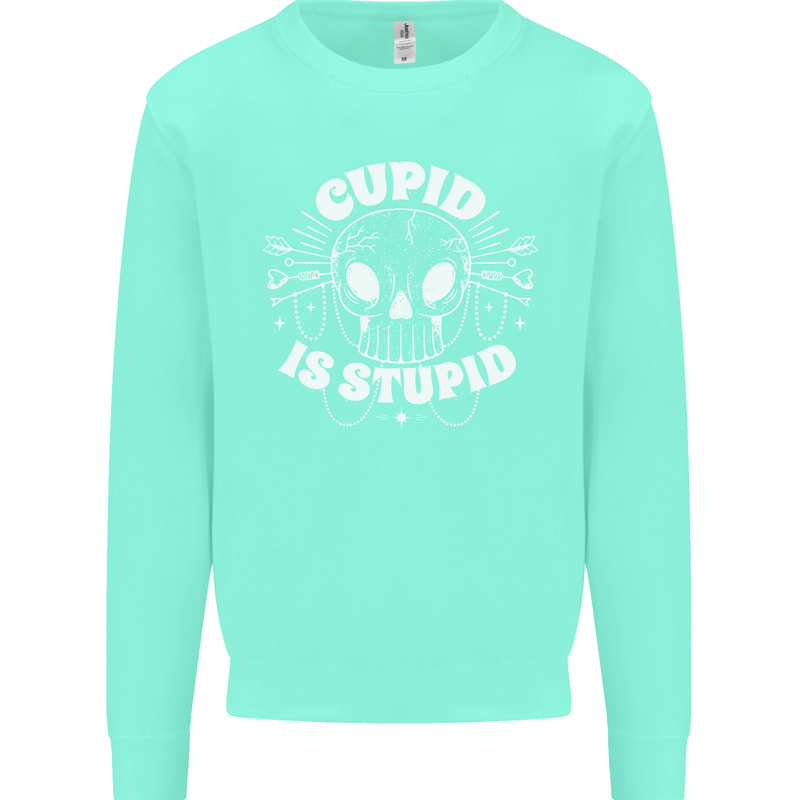 Cupid Is Stupid Funny Anti Valentines Day Kids Sweatshirt Jumper Peppermint