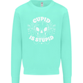 Cupid Is Stupid Funny Anti Valentines Day Mens Sweatshirt Jumper Peppermint