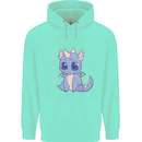 Cute Kawaii Baby Dragon Childrens Kids Hoodie Peppermint