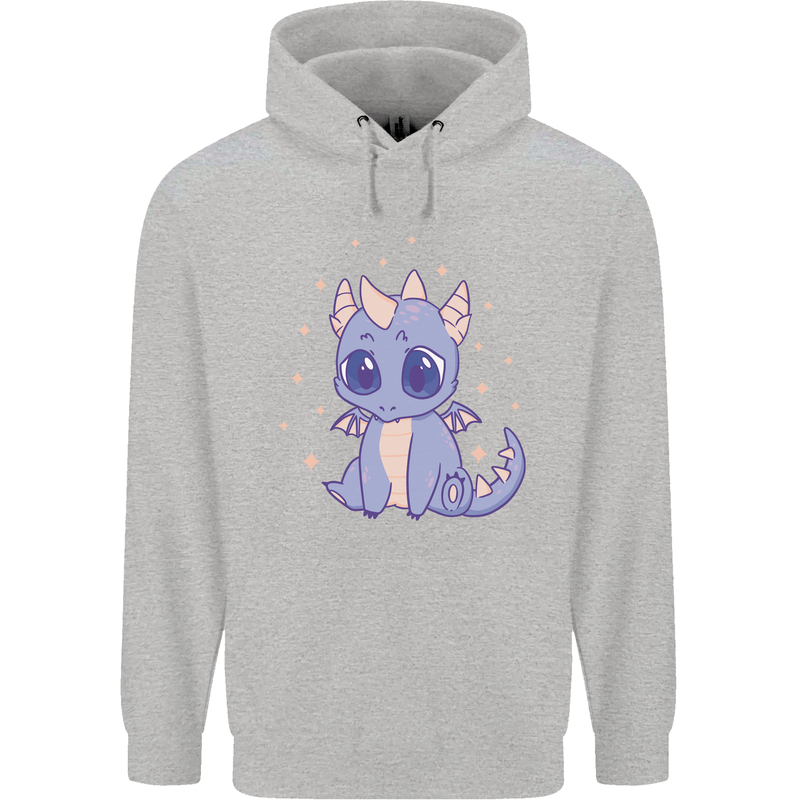 Cute Kawaii Baby Dragon Childrens Kids Hoodie Sports Grey