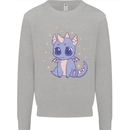Cute Kawaii Baby Dragon Kids Sweatshirt Jumper Sports Grey