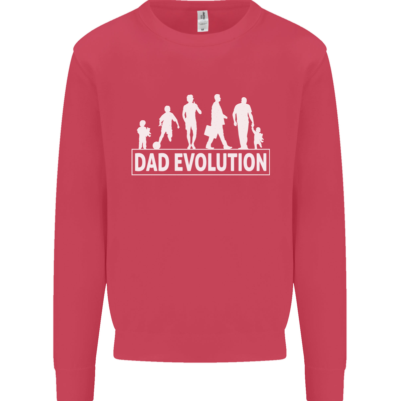 Dad Evolution Fathers Day Mens Sweatshirt Jumper Heliconia