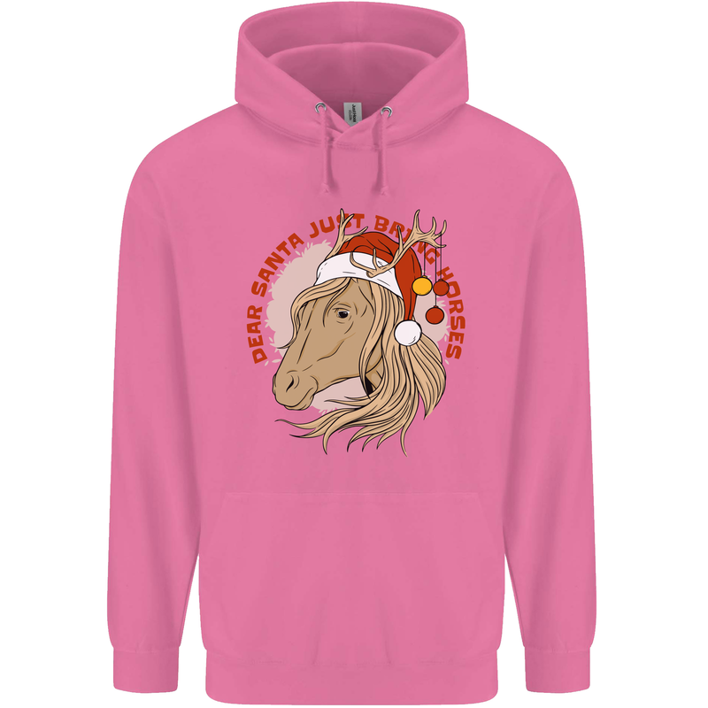 Dear Santa Funny Equestrian Horse Christmas Childrens Kids Hoodie Azalea