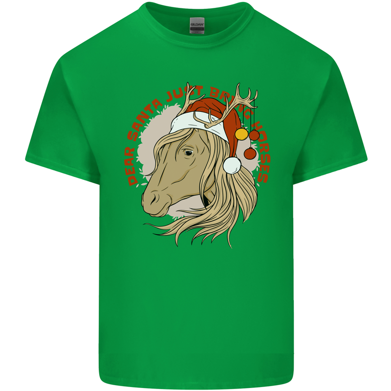 Dear Santa Funny Equestrian Horse Christmas Kids T-Shirt Childrens Irish Green