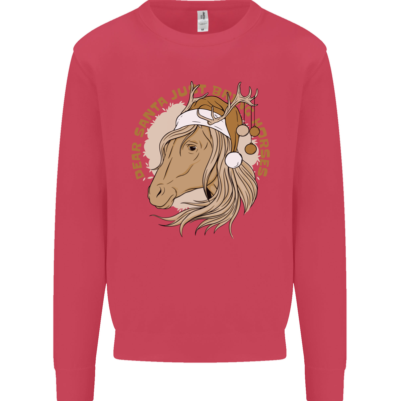 Dear Santa Funny Horse Equestrian Christmas Kids Sweatshirt Jumper Heliconia
