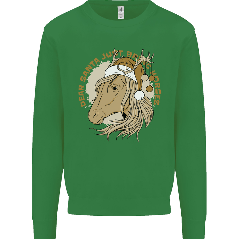Dear Santa Funny Horse Equestrian Christmas Kids Sweatshirt Jumper Irish Green