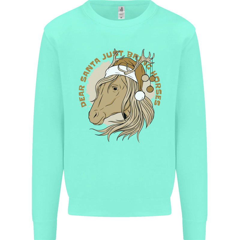 Dear Santa Funny Horse Equestrian Christmas Kids Sweatshirt Jumper Peppermint