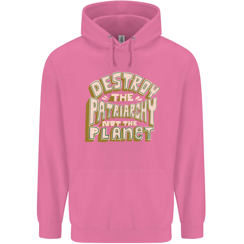 Destroy Patriarchy Not the Planet Climate Change Mens 80% Cotton Hoodie Azelea