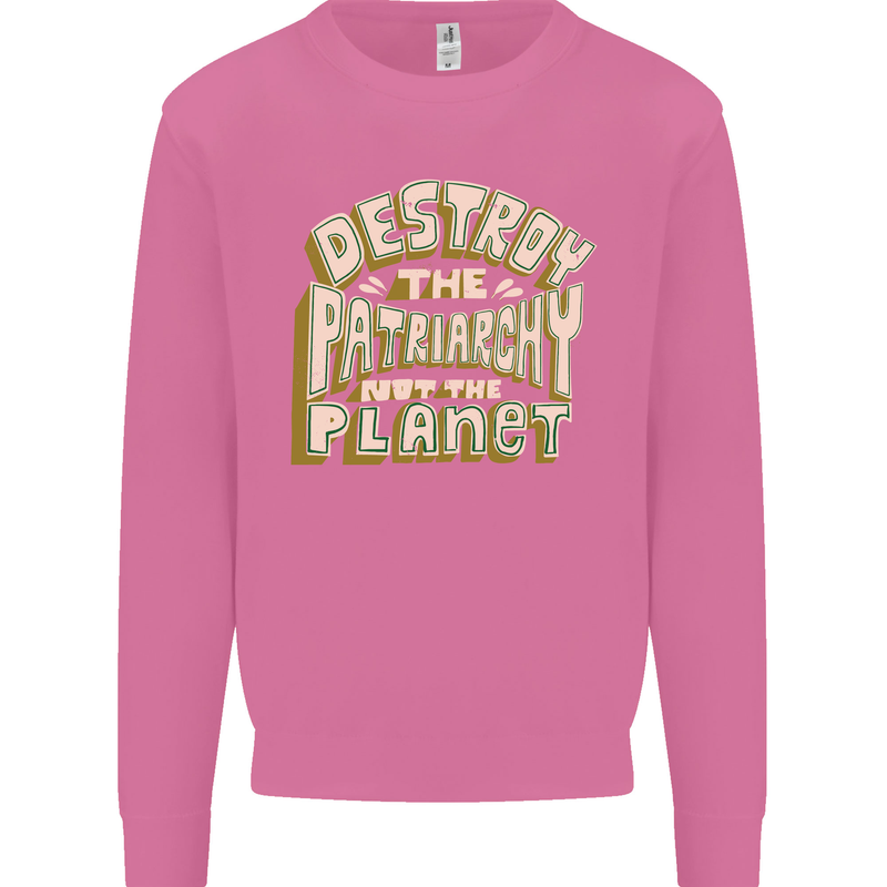 Destroy Patriarchy Not the Planet Climate Change Mens Sweatshirt Jumper Azalea