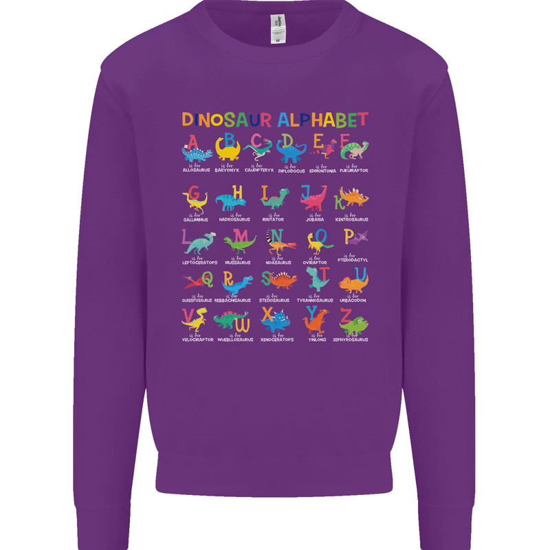 Dinosaur Alphabet T-Rex Funny Kids Sweatshirt Jumper Purple