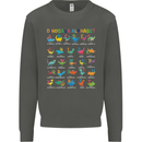 Dinosaur Alphabet T-Rex Funny Kids Sweatshirt Jumper Storm Grey