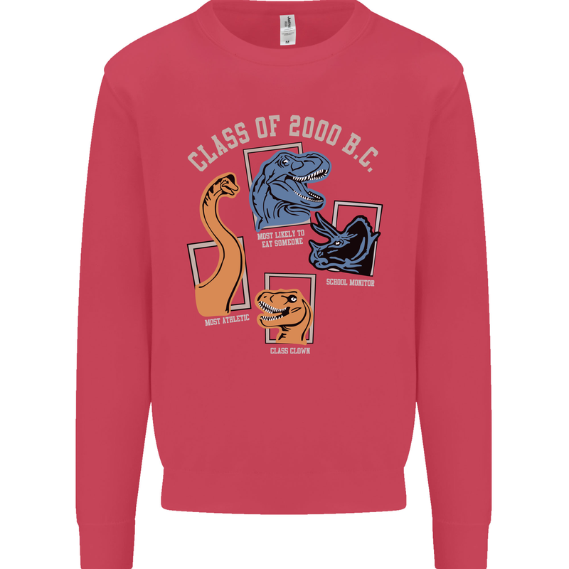 Dinosaur Class of 2000 BC Funny T-Rex Kids Sweatshirt Jumper Heliconia