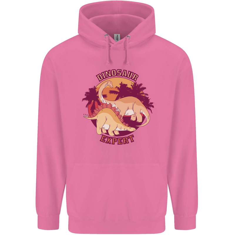 Dinosaur Expert Childrens Kids Hoodie Azalea
