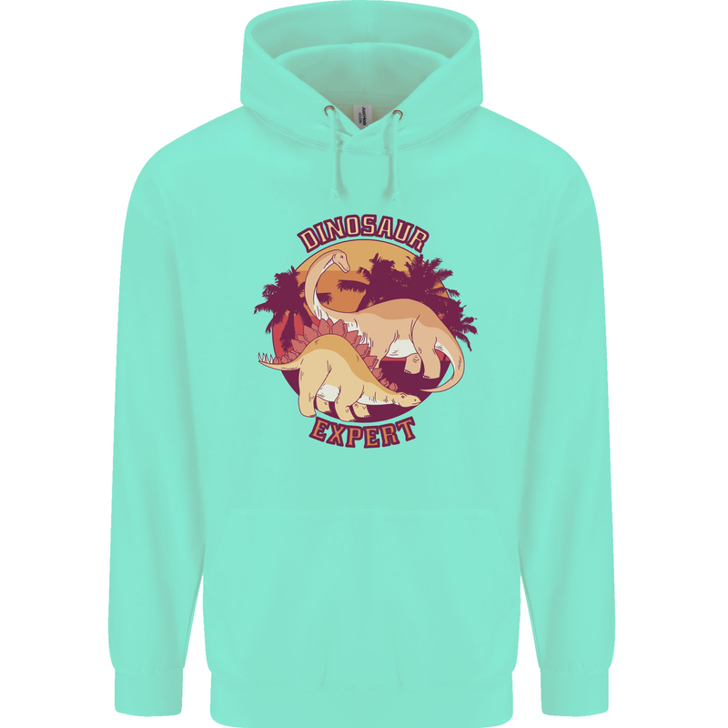 Dinosaur Expert Childrens Kids Hoodie Peppermint