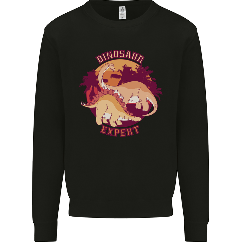 Dinosaur Expert Kids Sweatshirt Jumper Black