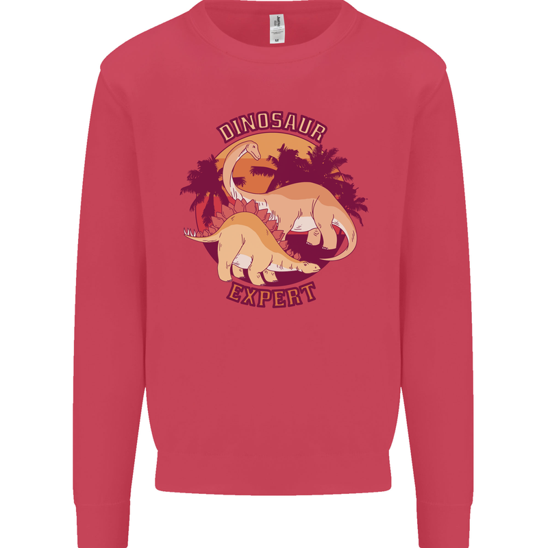 Dinosaur Expert Kids Sweatshirt Jumper Heliconia