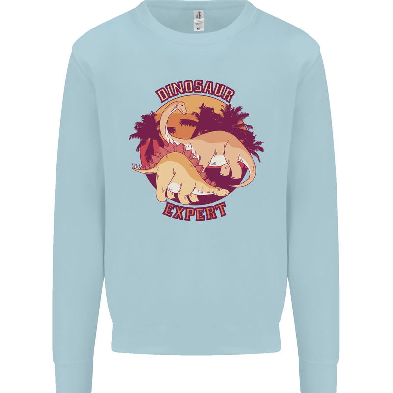 Dinosaur Expert Kids Sweatshirt Jumper Light Blue