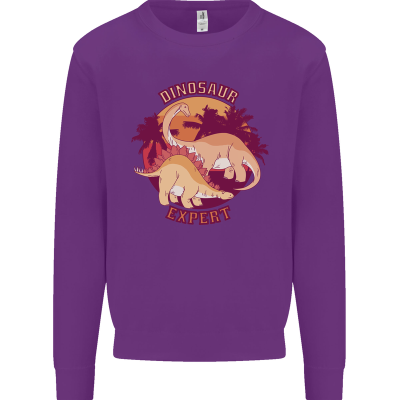 Dinosaur Expert Kids Sweatshirt Jumper Purple