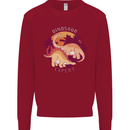 Dinosaur Expert Kids Sweatshirt Jumper Red