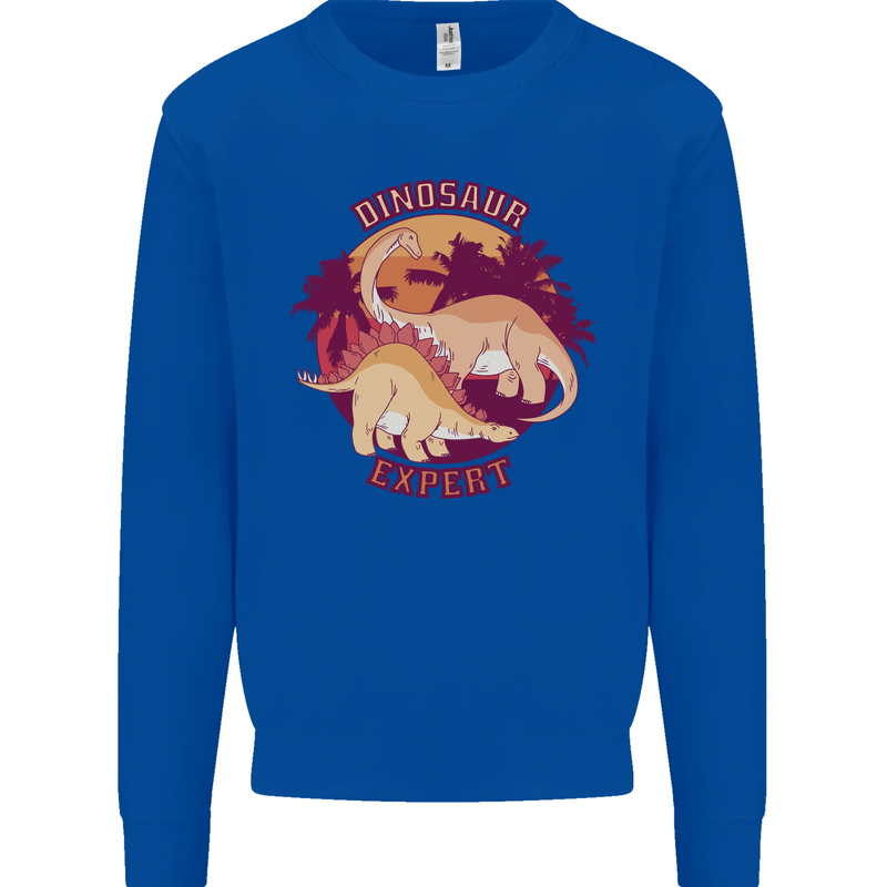 Dinosaur Expert Kids Sweatshirt Jumper Royal Blue
