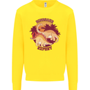 Dinosaur Expert Kids Sweatshirt Jumper Yellow