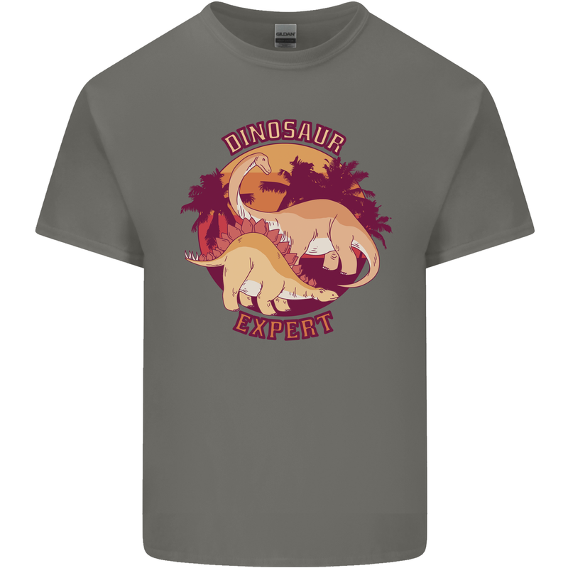 Dinosaur Expert Kids T-Shirt Childrens Charcoal