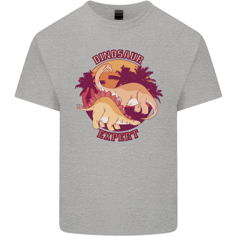 Dinosaur Expert Kids T-Shirt Childrens Sports Grey