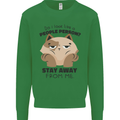 Do I Look Like a People Person Funny Cat Kids Sweatshirt Jumper Irish Green