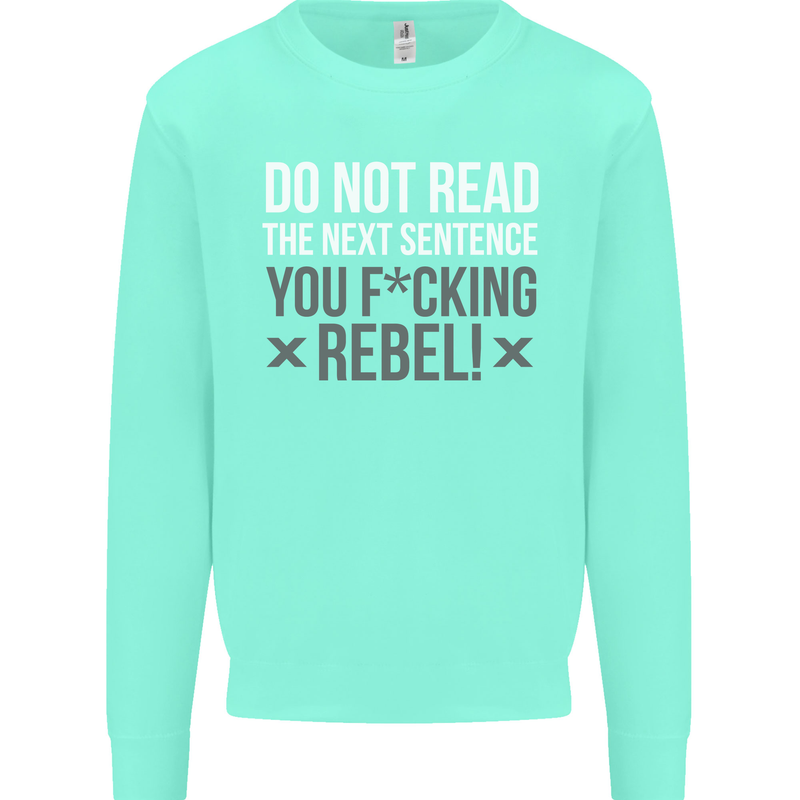 Do Not Read the Next Sentence Offensive Mens Sweatshirt Jumper Peppermint