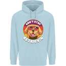 Don't Stop Retrieving Funny Golden Retiever Childrens Kids Hoodie Light Blue
