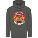 Don't Stop Retrieving Funny Golden Retiever Childrens Kids Hoodie Storm Grey