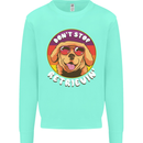 Don't Stop Retrieving Funny Golden Retiever Kids Sweatshirt Jumper Peppermint