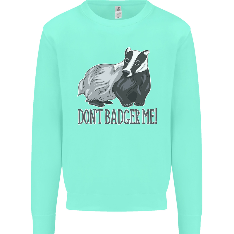 Dont Bager Me Funny Quote Mens Sweatshirt Jumper Peppermint