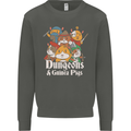Dungeons and Guinea Pig Role Playing Game Kids Sweatshirt Jumper Storm Grey