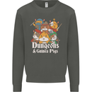Dungeons and Guinea Pig Role Playing Game Kids Sweatshirt Jumper Storm Grey