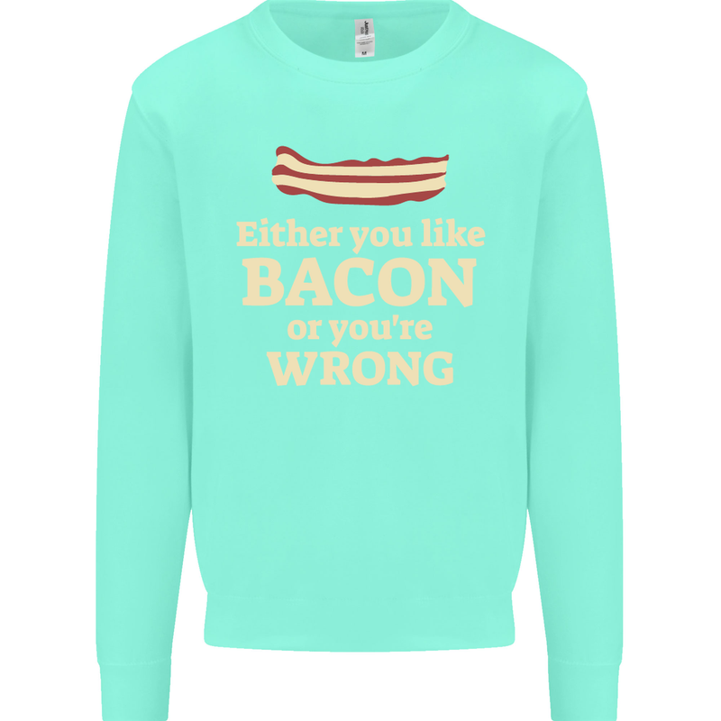 Either You Like Bacon or Your Wrong Funny Kids Sweatshirt Jumper Peppermint
