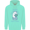 Environment Burn the Patriachy Not Coal Childrens Kids Hoodie Peppermint