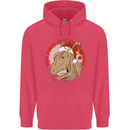 Equestrian Dear Santa Funny Horse Christmas Childrens Kids Hoodie Heliconia