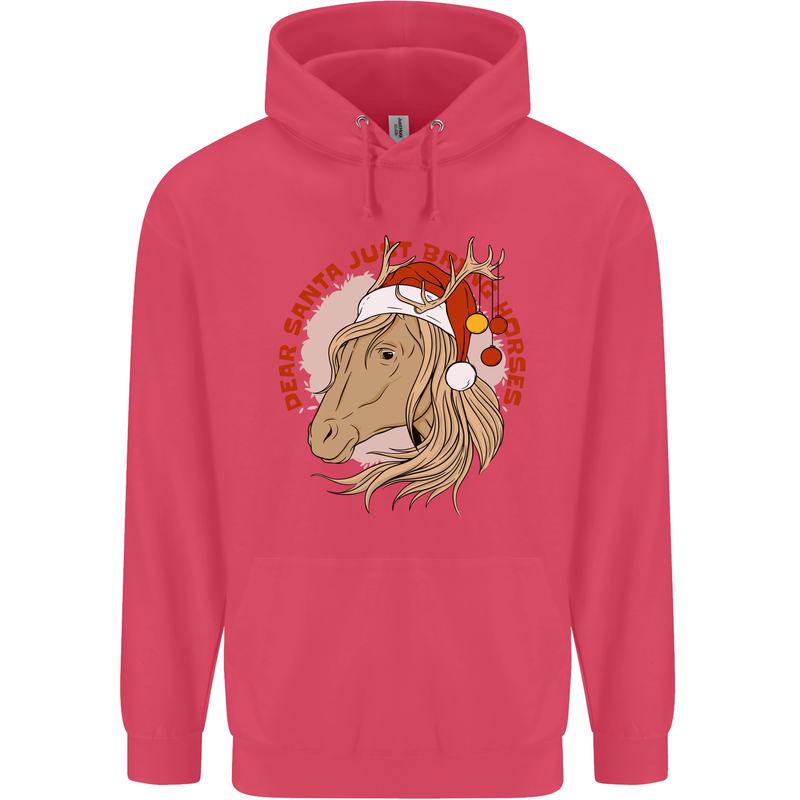 Equestrian Dear Santa Funny Horse Christmas Childrens Kids Hoodie Heliconia