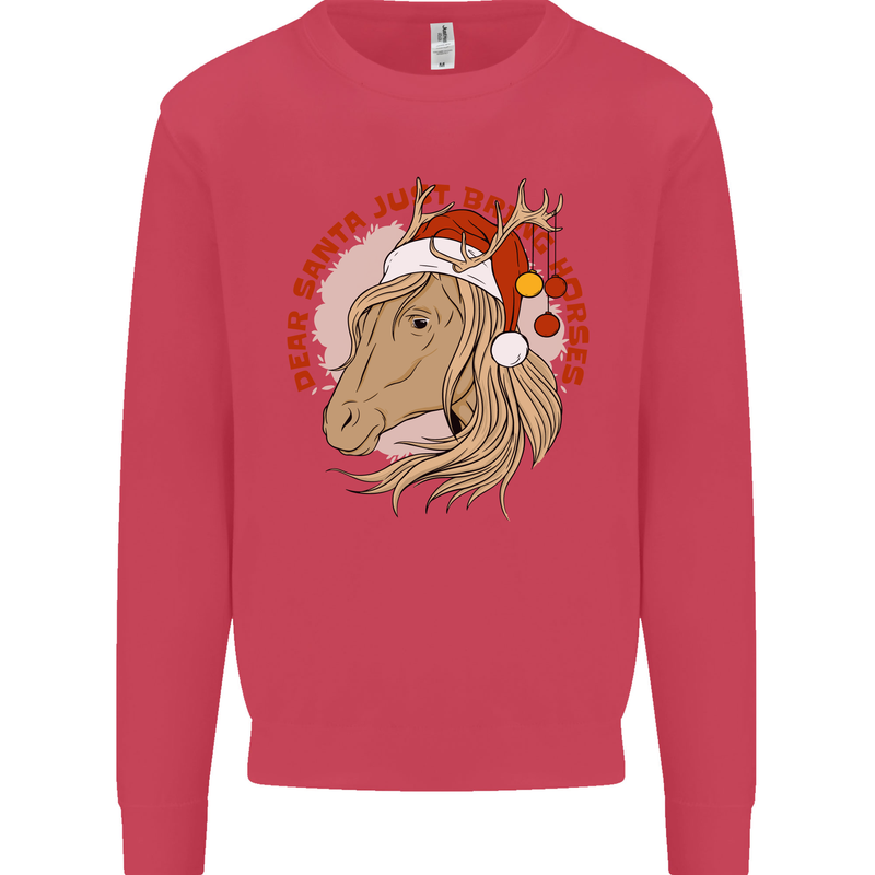 Equestrian Dear Santa Funny Horse Christmas Kids Sweatshirt Jumper Heliconia