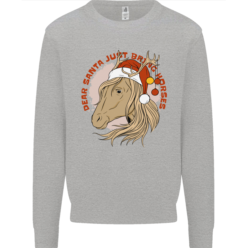 Equestrian Dear Santa Funny Horse Christmas Kids Sweatshirt Jumper Sports Grey